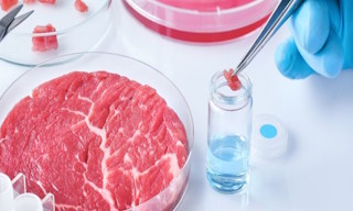 Лабораторный анализ пищевых продуктов по СанПиН в Донском в октябре