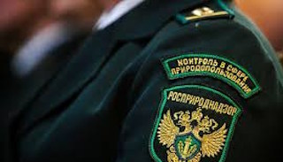 Подготовка к проверке Росприроднадзора в Донском от ПромМир-Днс, стоимость услуги от 20264 руб.